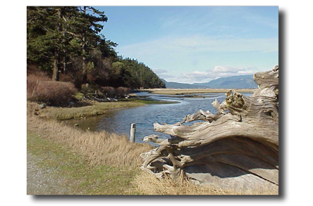 Spencer Spit in the San Juan Islands